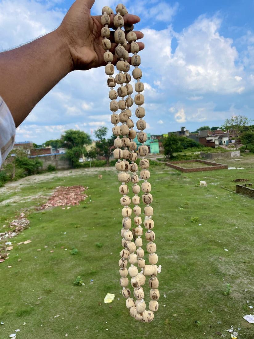 108+1 Big Size Original Tulsi JapMala